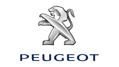 Dragvikt Peugeot 307 2.0 Hdi FAP Kombi-Sedan 2009